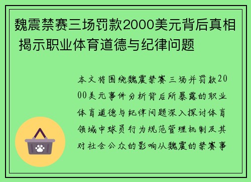 魏震禁赛三场罚款2000美元背后真相 揭示职业体育道德与纪律问题